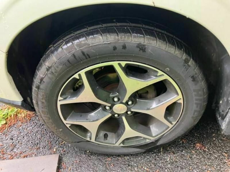 FORESTER-5