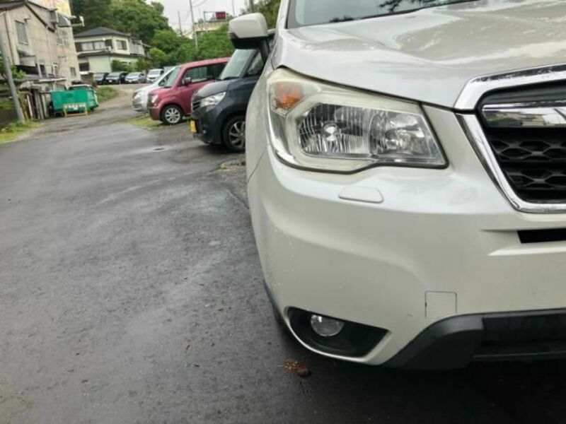 FORESTER-8