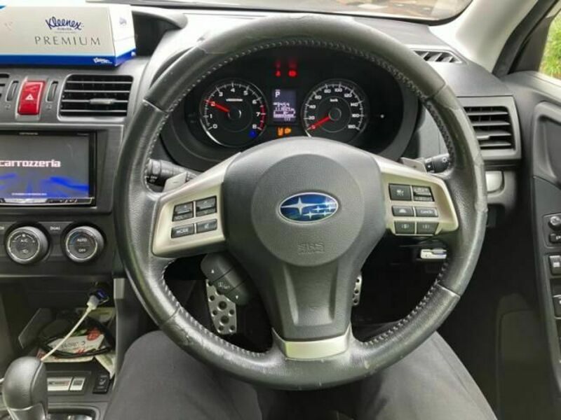 FORESTER-15