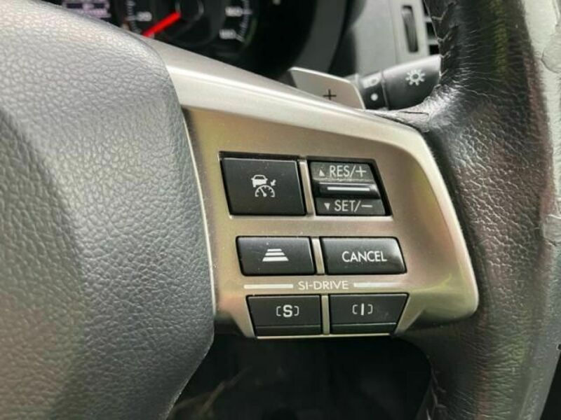 FORESTER-16