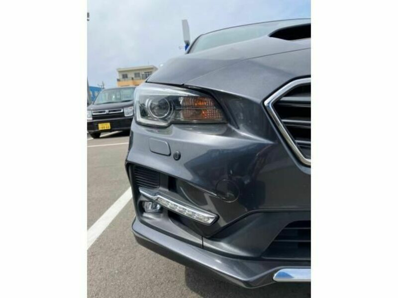 LEVORG-2