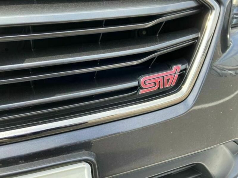 LEVORG-4