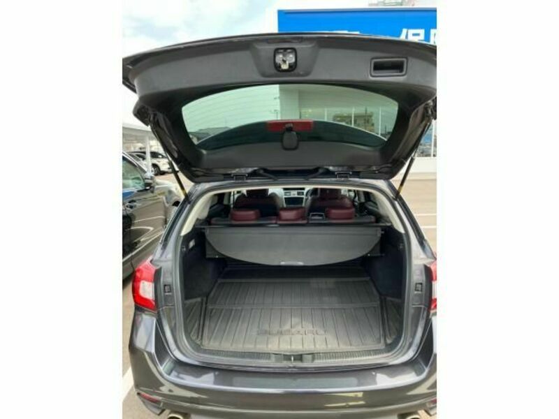 LEVORG-9