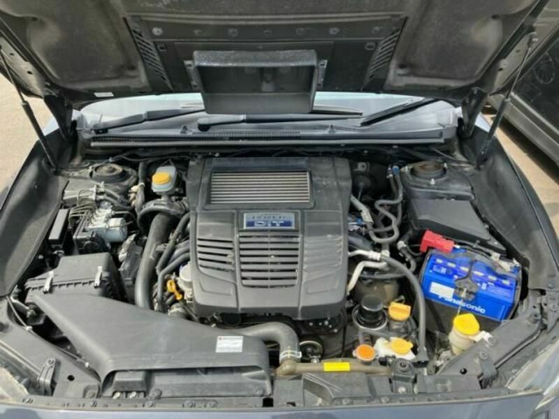 LEVORG-14