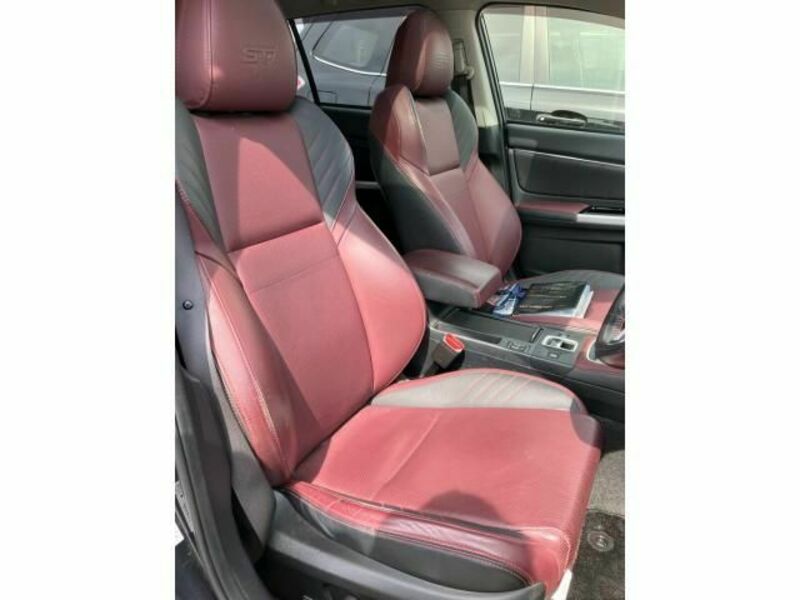 LEVORG-19