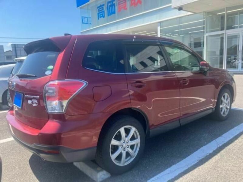 FORESTER-2