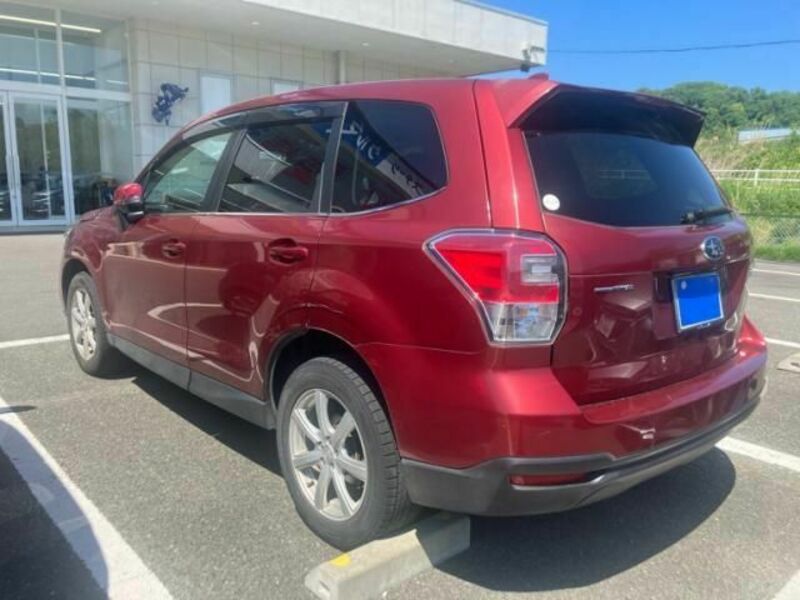 FORESTER-3