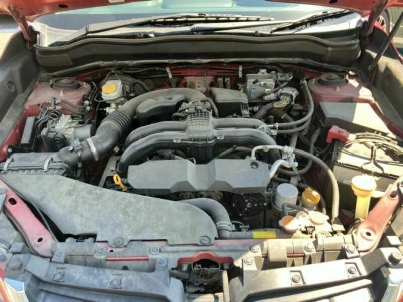 FORESTER-16
