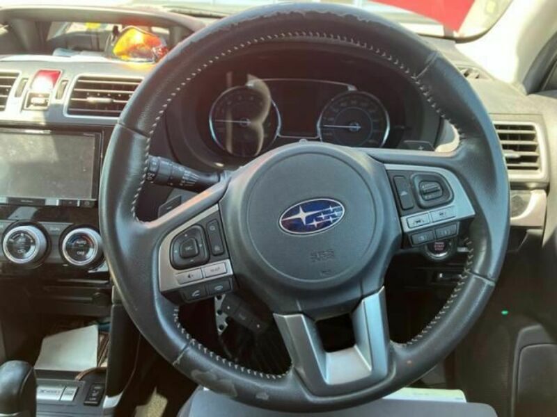 FORESTER-18