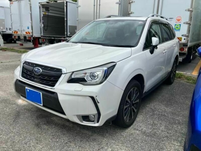 FORESTER-1