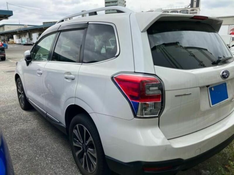 FORESTER-2