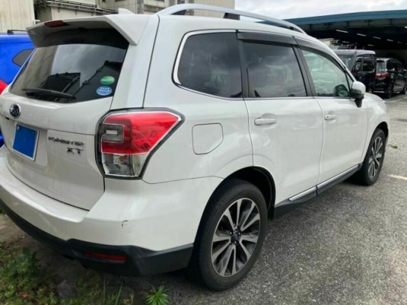FORESTER-3