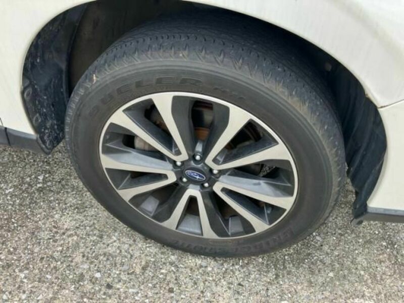 FORESTER-7
