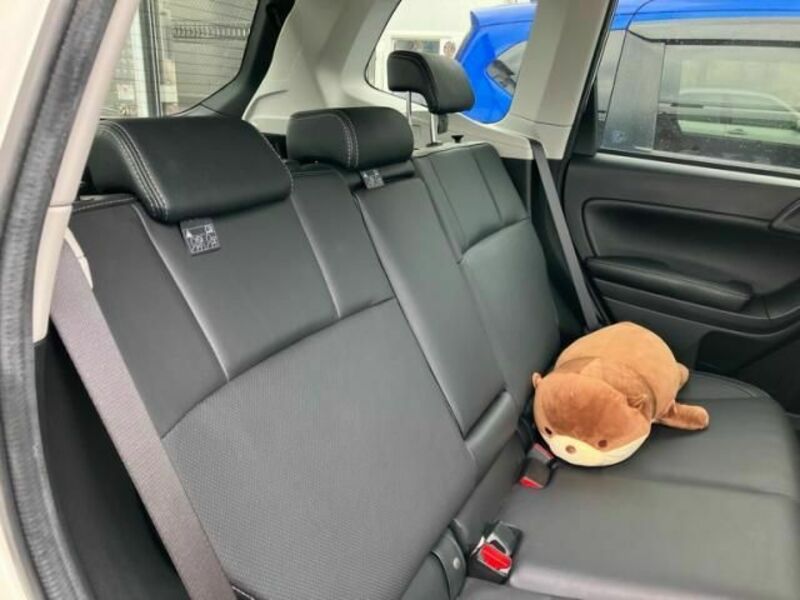 FORESTER-17