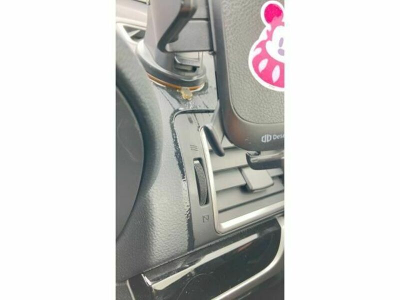 FORESTER-29