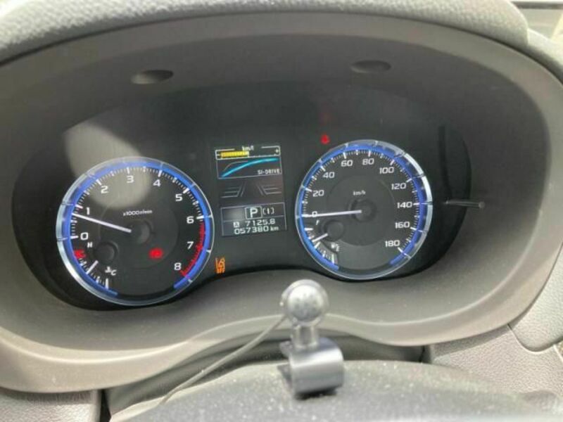 LEVORG-18