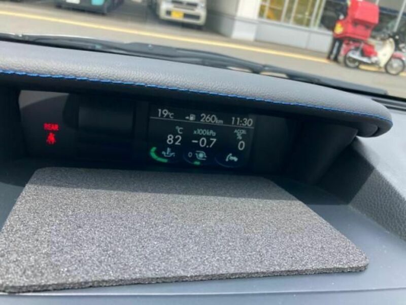 LEVORG-19