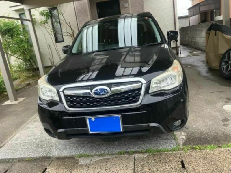 FORESTER-1