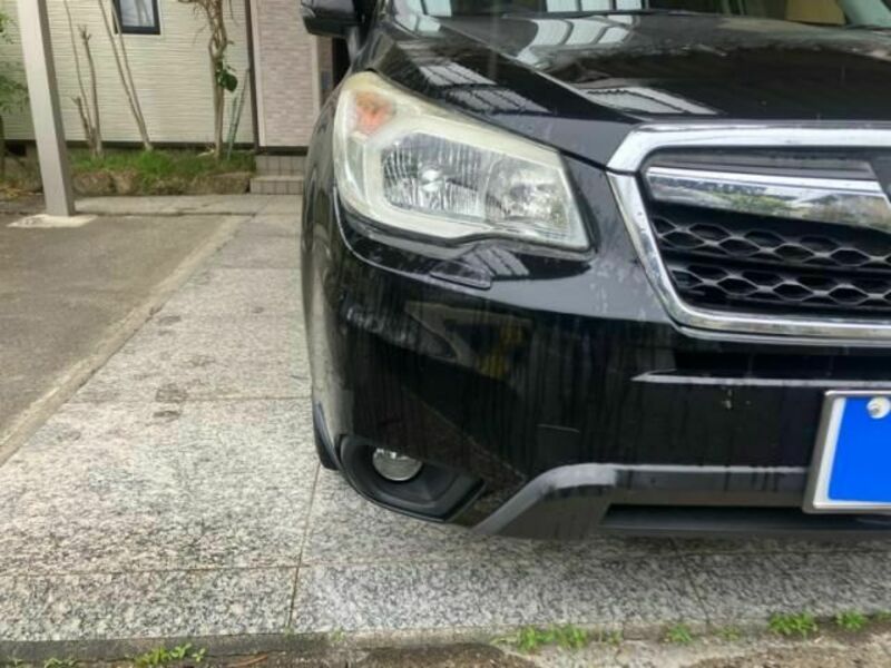 FORESTER-2