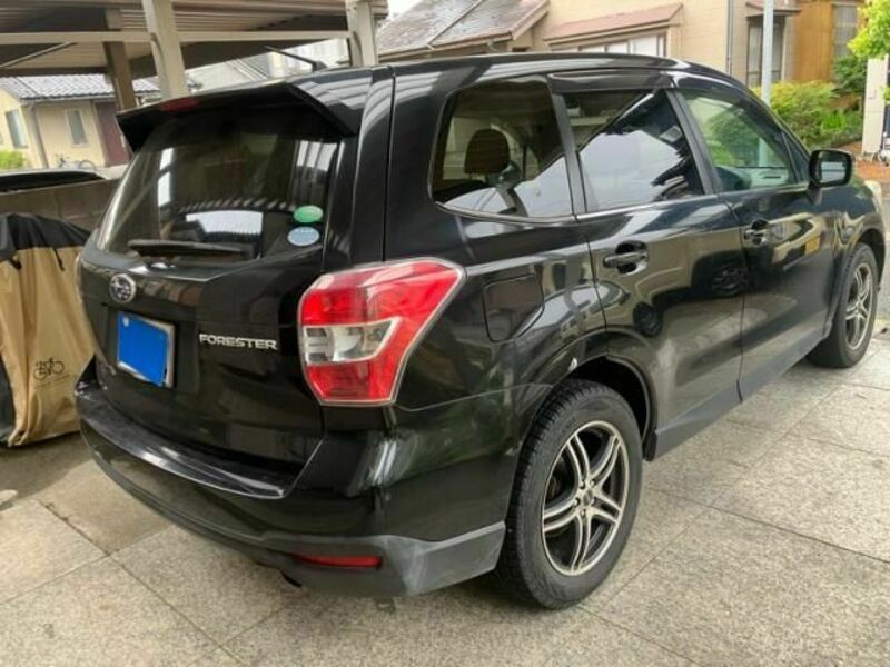 FORESTER-3