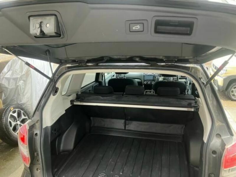 FORESTER-5