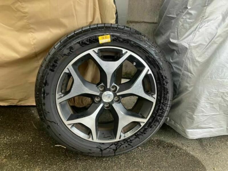 FORESTER-7
