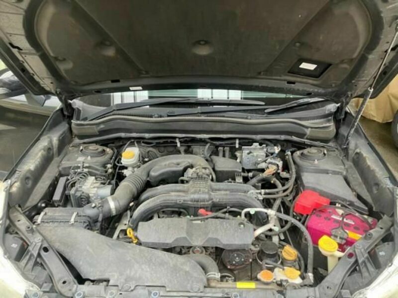FORESTER-14