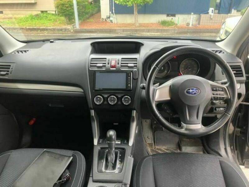 FORESTER-16