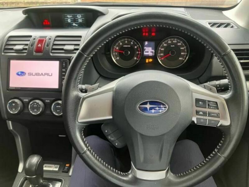 FORESTER-20