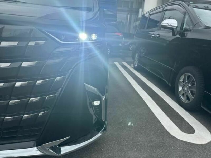 ALPHARD-10