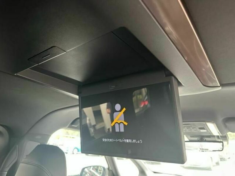 ALPHARD-13