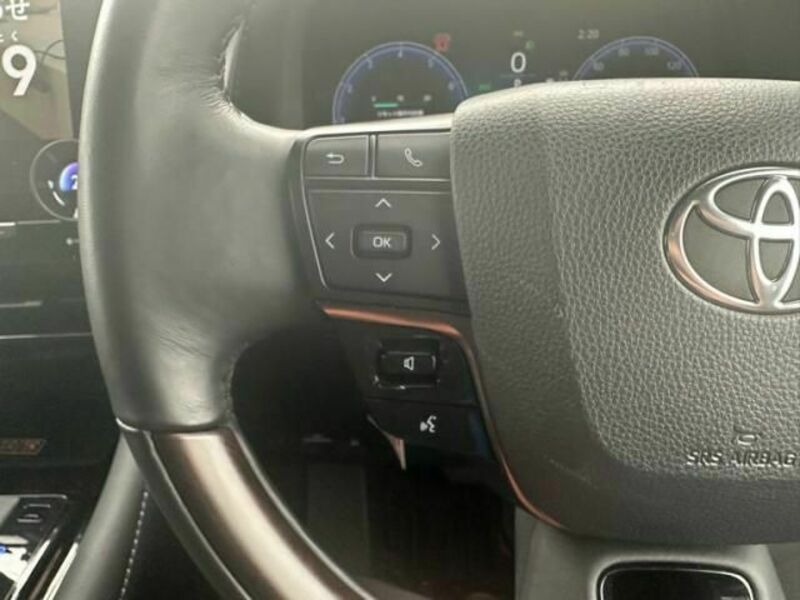 ALPHARD-26