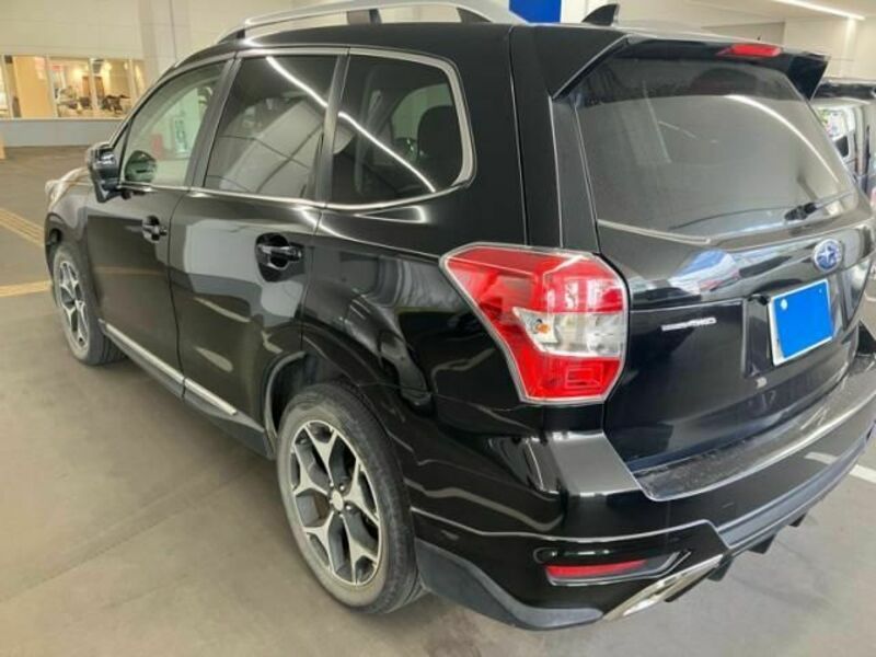 FORESTER-6
