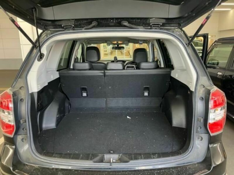 FORESTER-11