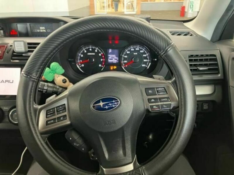 FORESTER-12