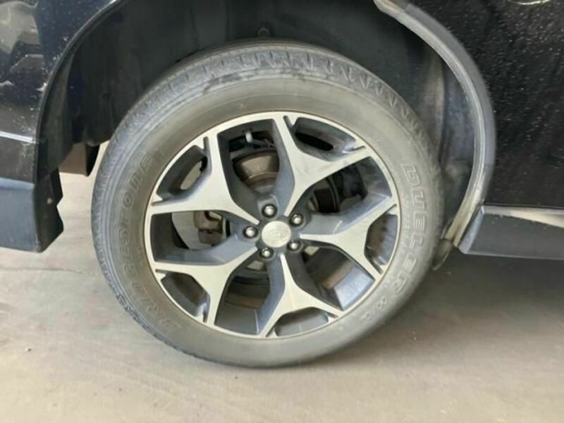FORESTER-23