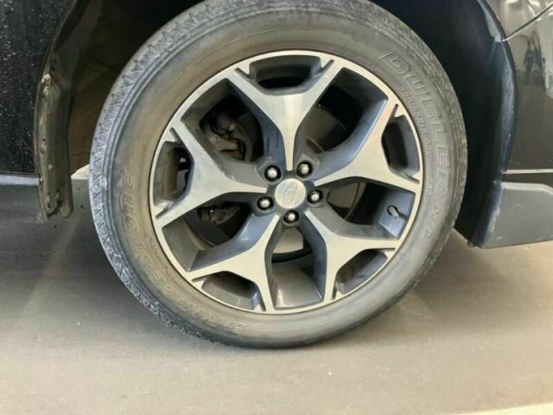 FORESTER-24