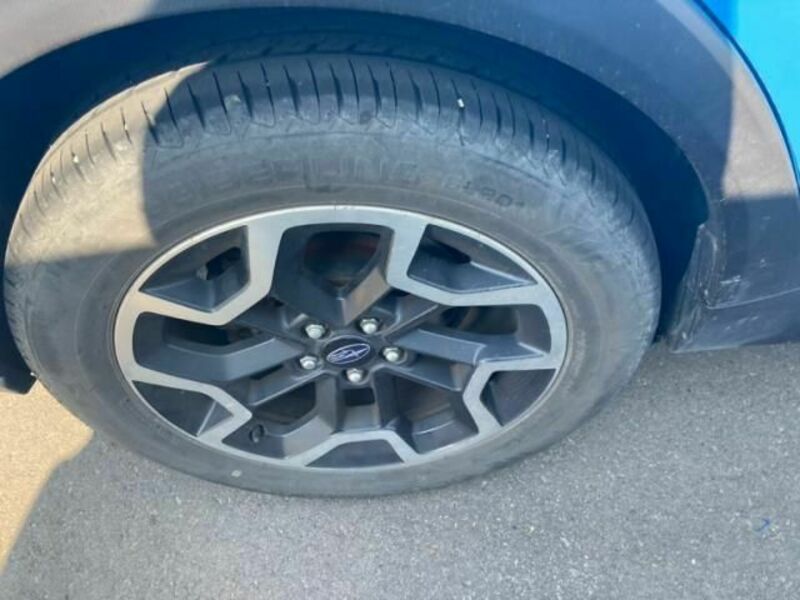 XV
