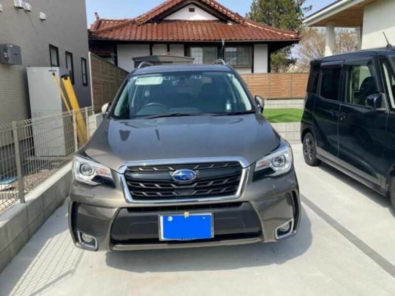 FORESTER-1