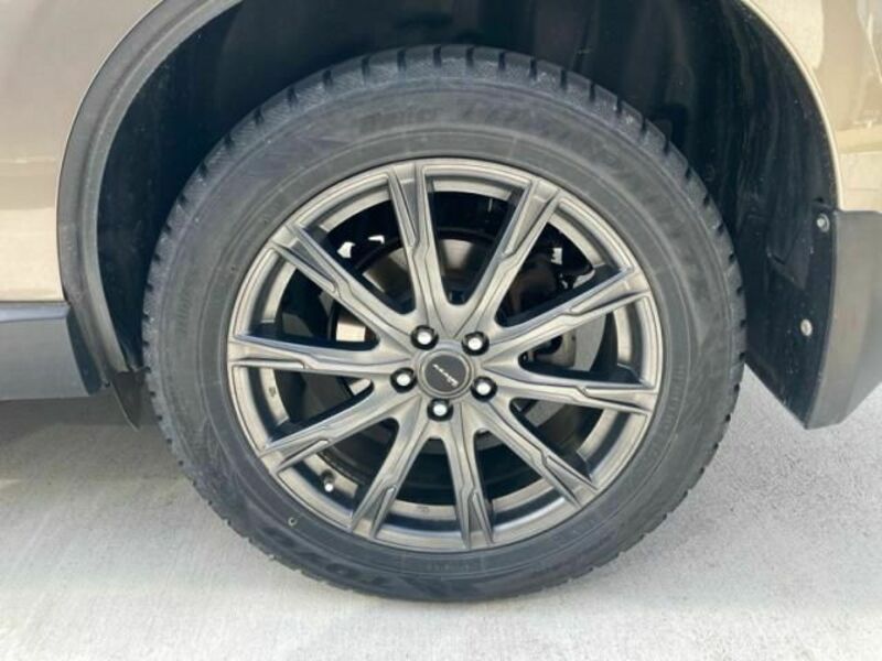 FORESTER-5