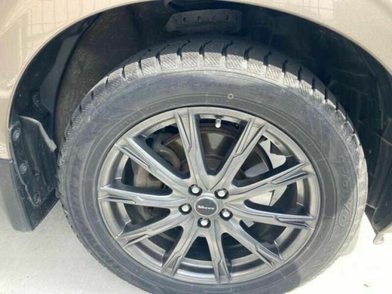FORESTER-6