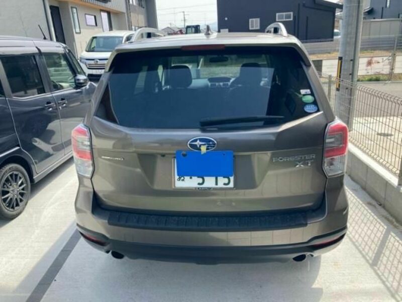 FORESTER-10