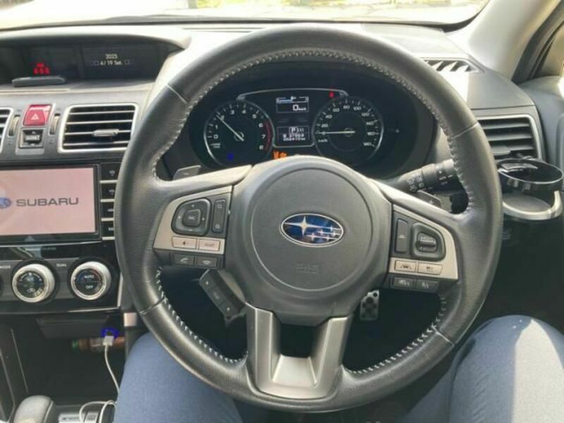 FORESTER-19
