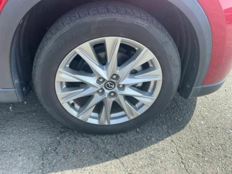 CX-8