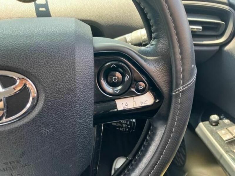 PRIUS-19
