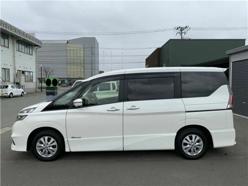 SERENA-33