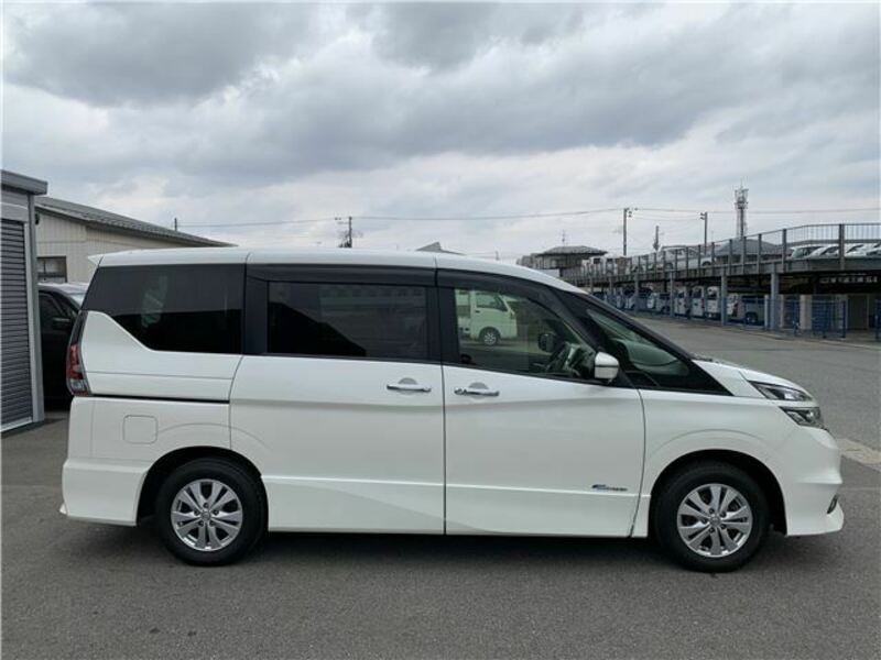 SERENA-36