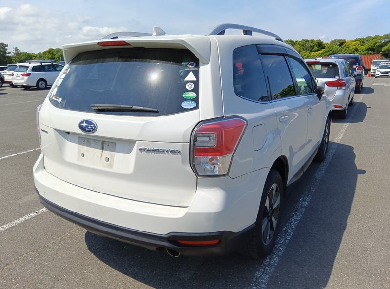 FORESTER
