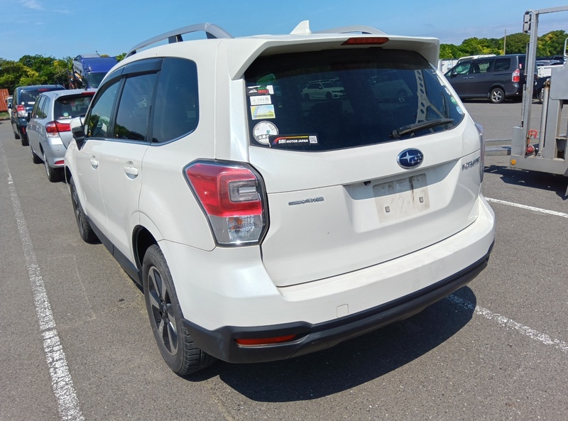 FORESTER