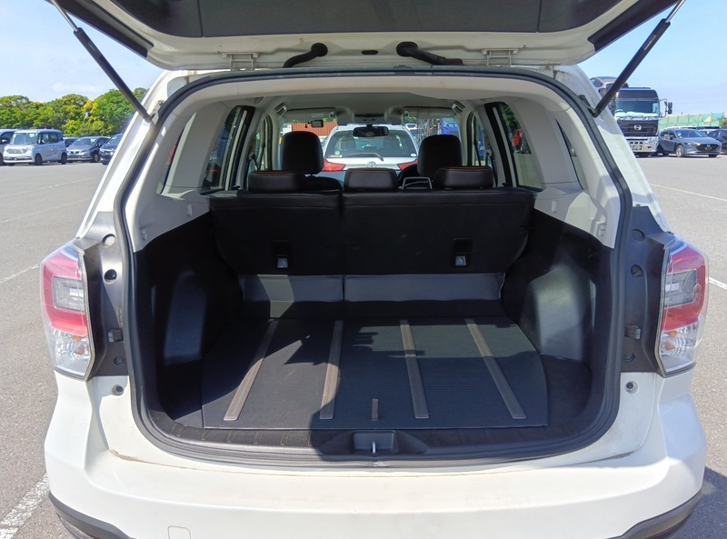 FORESTER